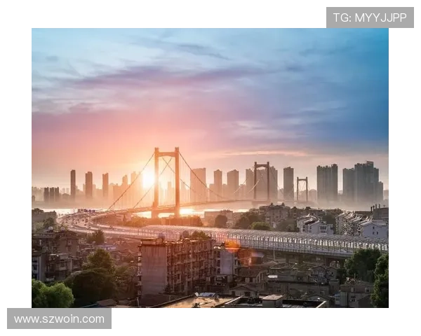 武汉羽毛球队在洲际杯上的拼搏历程与荣耀时刻全景回顾